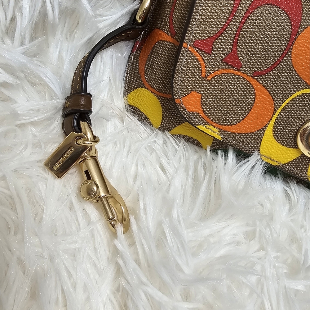 COACH CA053 NWT Pride Rainbow Signature Canvas Sunglass Case Pride Collection - Picture 6 of 10